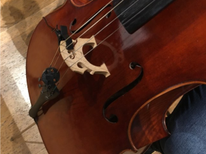 contactmic cello